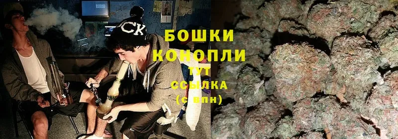 Бошки Шишки THC 21%  Ворсма 